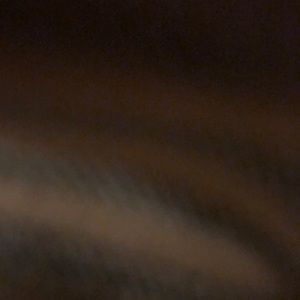 Meet your Posher, Jauhara